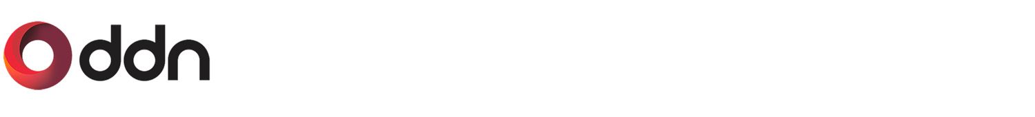DDN Logo