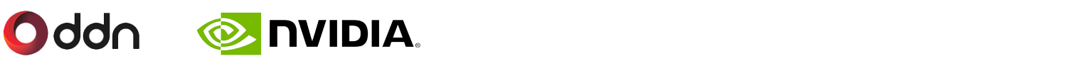 DDN Logo
